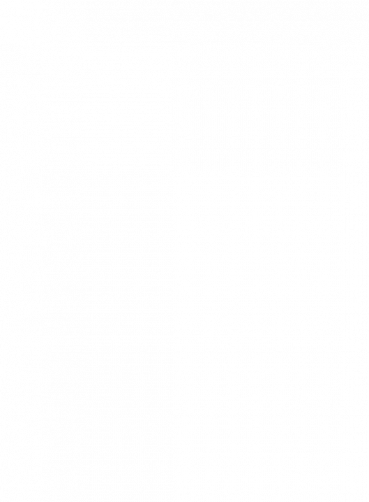 pdf-06