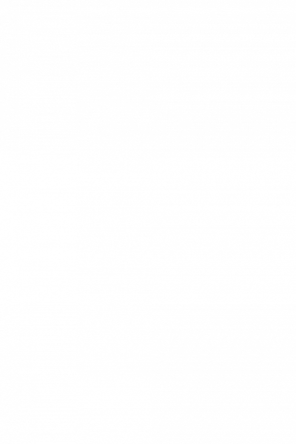 cavinato