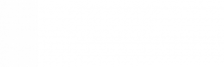 leanus3