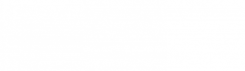 leanus2