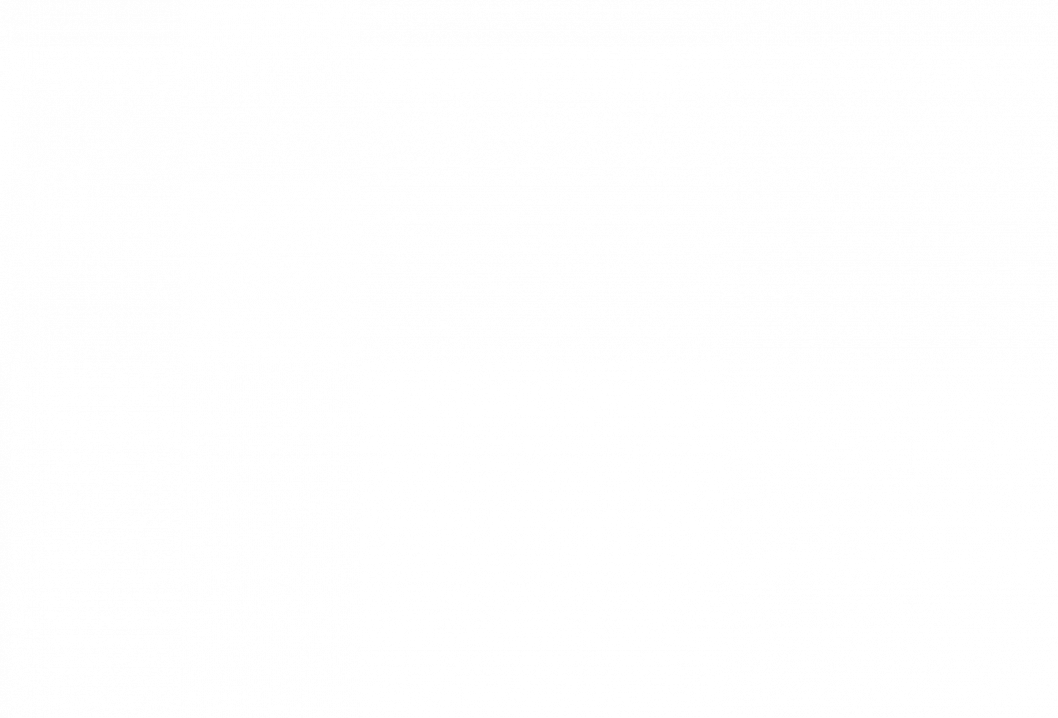 pdf-05