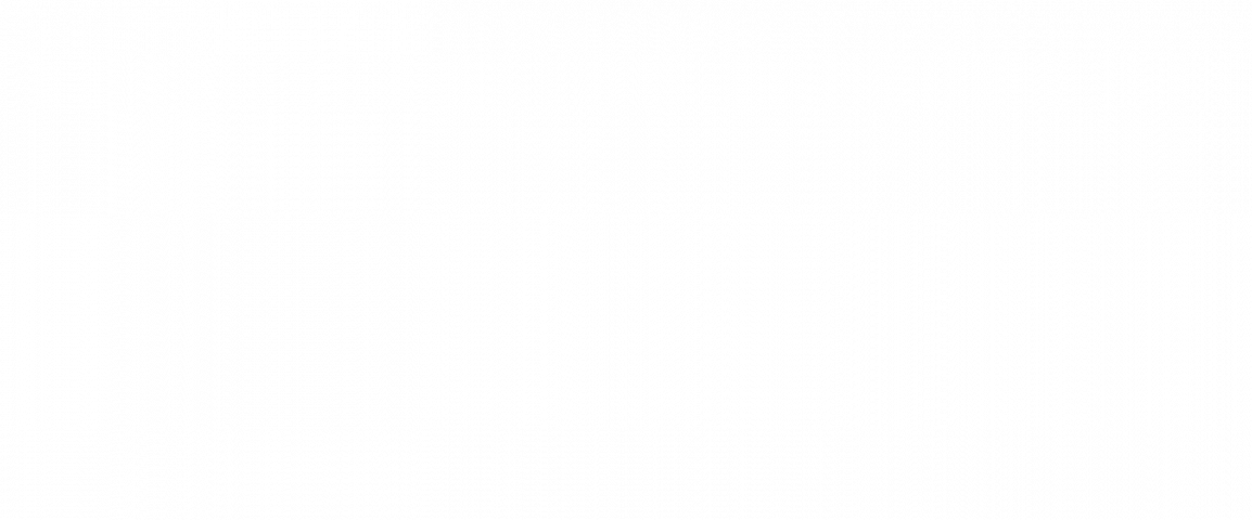 pdf21