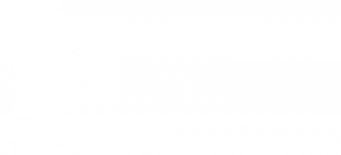 pdf33