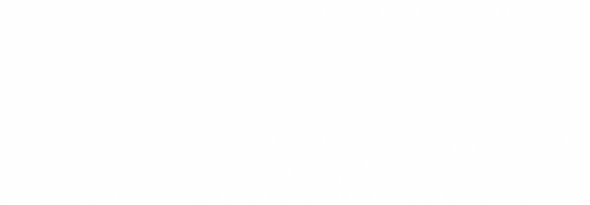pdf31