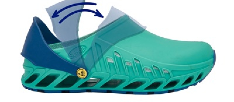 scholl-int-1